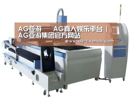 产品名称十一