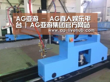 产品名称十六