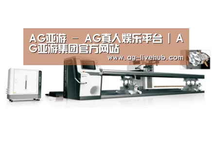 案例展示五