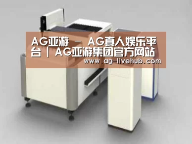 产品名称十三