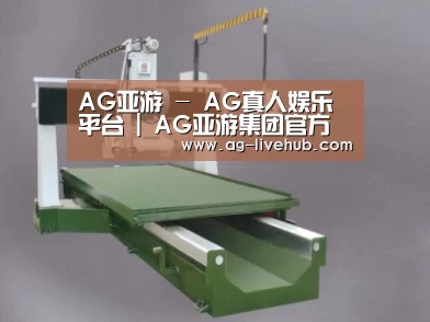 产品名称十