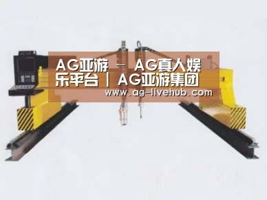 产品名称十九