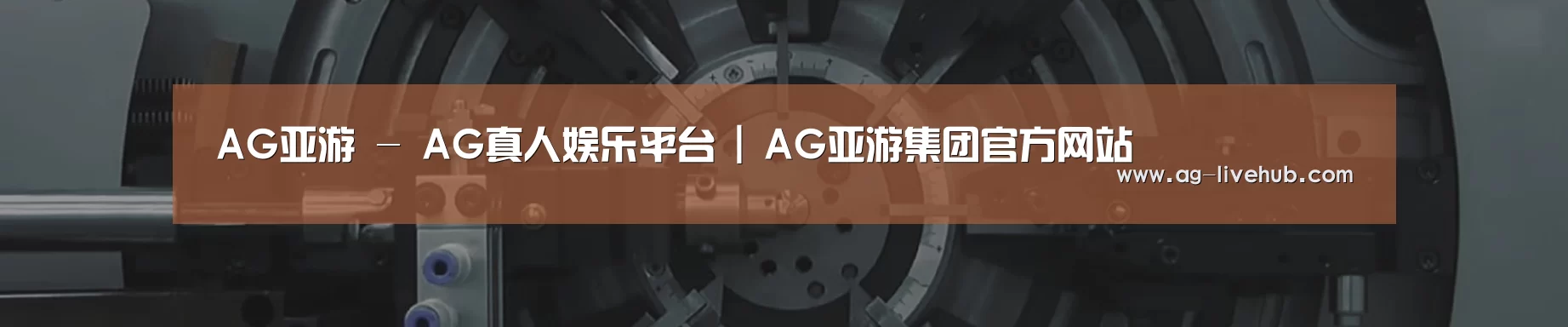 某某机械公司