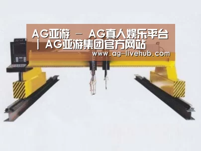 产品名称十七