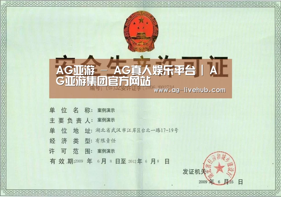 荣誉证书三(图1)