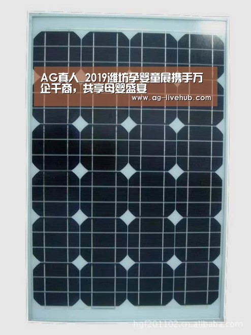 AG真人娱乐
